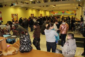 Всероссийская выставка собак в Великих Луках (фото)