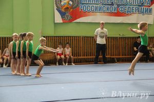 В Великих Луках состоялось Первенство по командной гимнастике (фото)