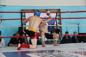 Чемпионат Псковской области по ММА