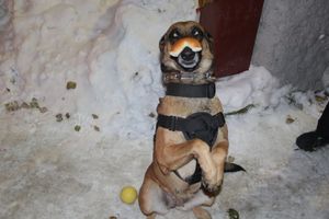 В Великих Луках проходит акция «Сообщи где торгуют смертью» (ФОТО)