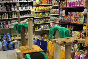 «Zooбастики»: подарите праздник своим любимцам! (ФОТО+ВИДЕО)