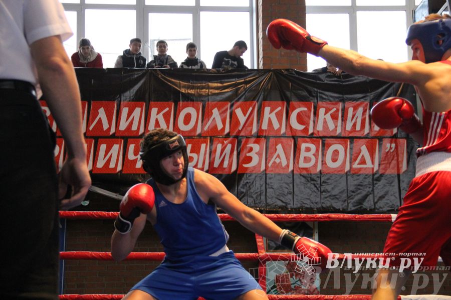 16-й Международный турнир по боксу (фото)