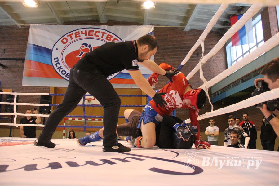 В Великих Луках прошел международный открытый Кубок по смешанному боевому единоборству (ФОТО) (16+)