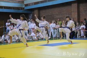 Великолучане стали победителями турнира по каратэ «Неприкосновенный запас, дети — Отчизны 2015» (фото)