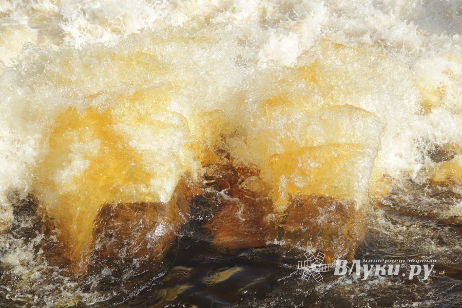 В Великих Луках обнаружили тело мужчины, который утонул 21 августа (ФОТО)