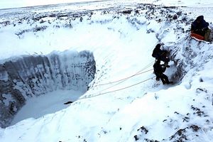 Фото: Департамент внутренней политики Ямало-Ненецкого автономного округа