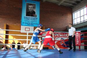 В Великих Луках прошел турнир по боксу памяти Е. Клевцова (ФОТО)