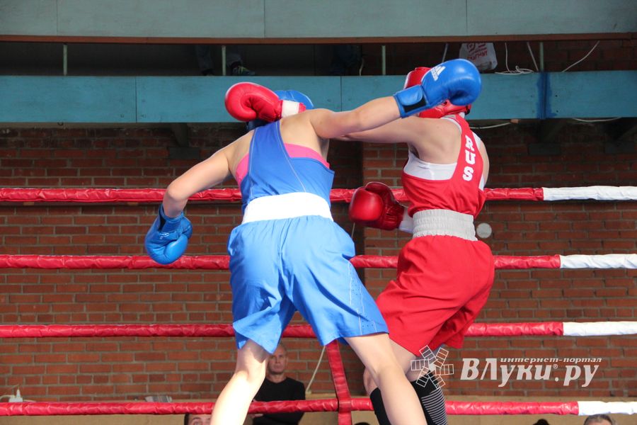 В Великих Луках прошел турнир по боксу памяти Е. Клевцова (ФОТО)
