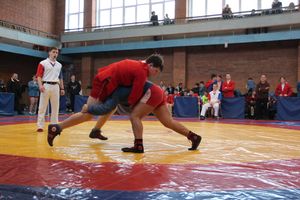 Великолукские самбисты завоевали 45 медалей на открытом первенстве города (ФОТО)