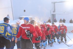 Великолукский хоккей: много забитых шайб и немного потасовок и разбитых лиц (фото)