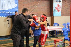 3-й день соревнований Международного турнира по боксу