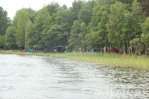 «Купала-фест» — 2014