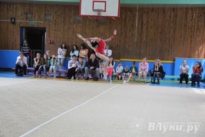 В Великих Луках прошло Первенство по художественной гимнастике (фото)