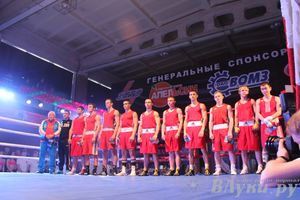 В Великих Луках состоялась матчевая встреча по боксу