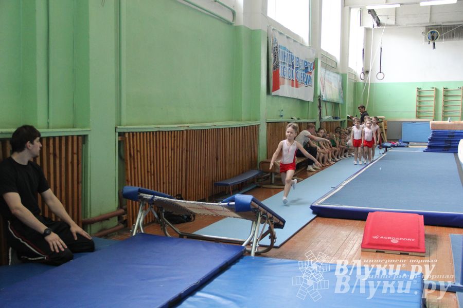В Великих Луках состоялось Первенство по командной гимнастике (фото)
