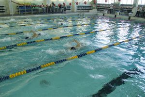 В Великих Луках прошел Чемпионат и Кубок города по плаванию (фото)