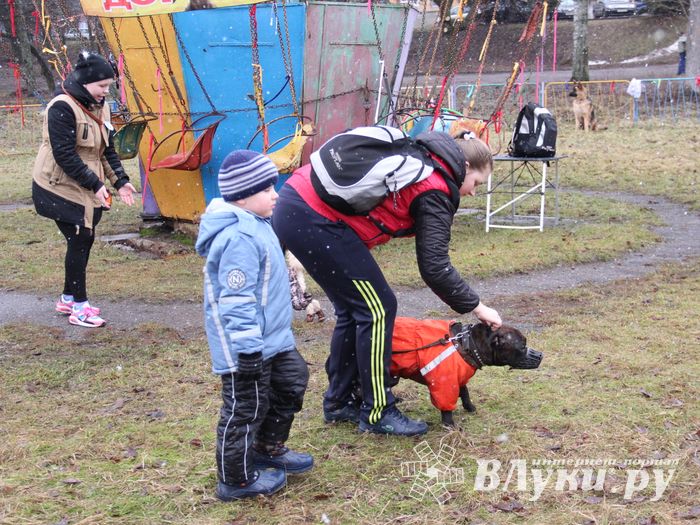 В Великих Луках сожгли Масленицу (фото)