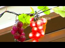 Импульс-ТВ: Конкурс новогодних витрин