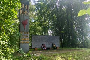 Встревоженных дачников Пореченской волости успокоили (ФОТО)