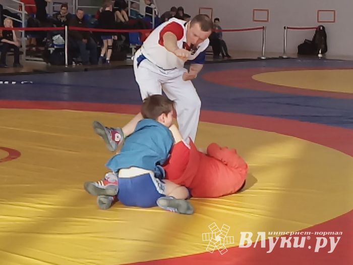 Великолучане привезли награды с Первенства Псковской области по самбо (ФОТО)