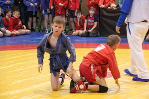 В Великих Луках проходит турнир самбистов (ФОТО)