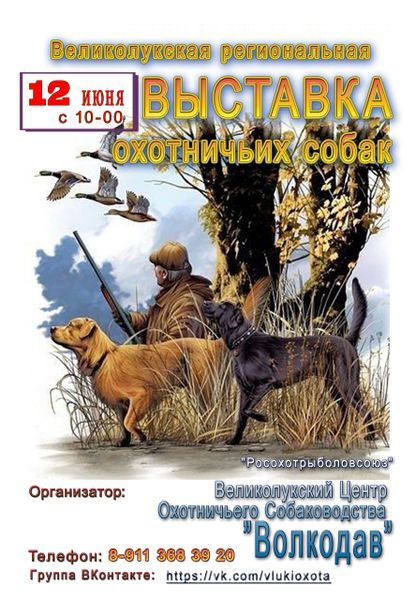 Региональная  выставка охотничьих собак (0+)