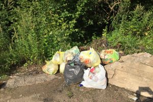 На обочину трассы Булынино-Невель выбрасывают даже автомобили (ФОТО)