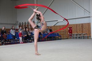 В Великих Луках прошли соревнования по по художественной гимнастике (ФОТО)