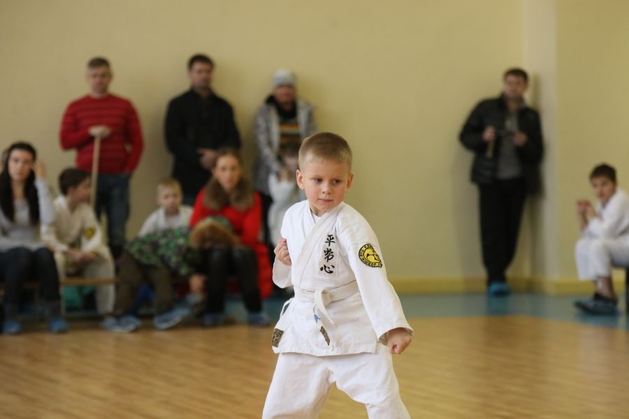 В Великих Луках прошло Первенство города по ВБЕ «КОБУДО» (ФОТО)