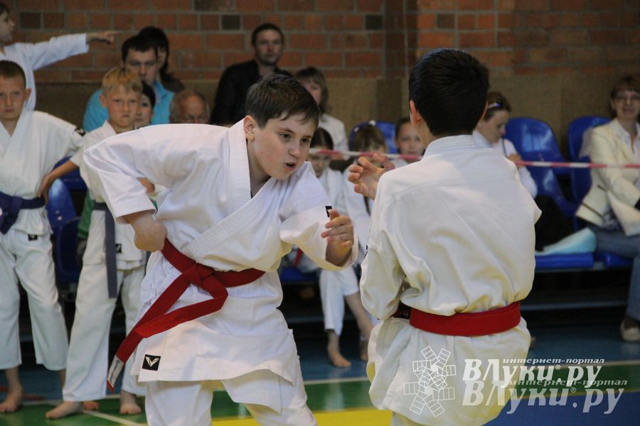 Великолучане стали победителями турнира по каратэ «Неприкосновенный запас, дети — Отчизны 2015» (фото)