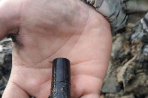 Разыскиваются родственники погибшего под Смоленском новосокольчанина (ФОТО)