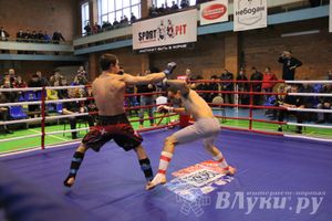 В Великих Луках прошел межрегиональный Открытый Кубок по смешанному боевому единоборству (фото)