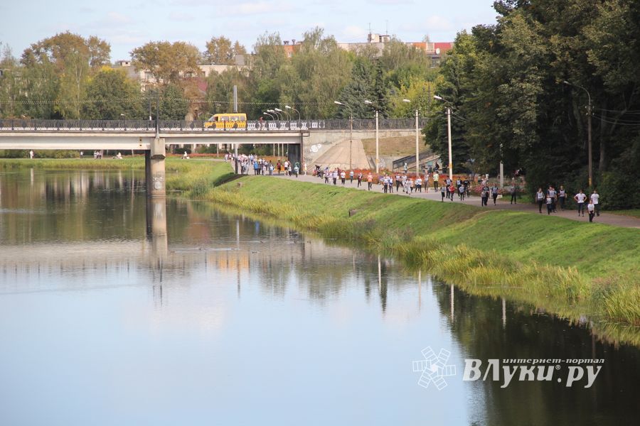 В Великих Луках прошёл «Кросс Нации-2018» (ФОТО)