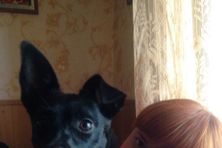 Объявляем победителей фотоконкурса «Косточка к Новому году» (ФОТО)