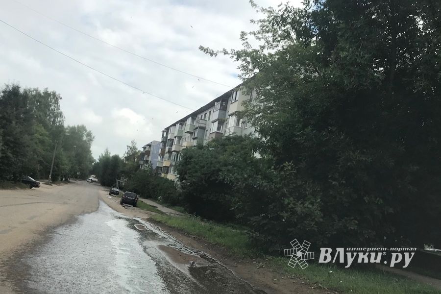 Предприятие в Великих Луках сливает на дорогу (ФОТО)