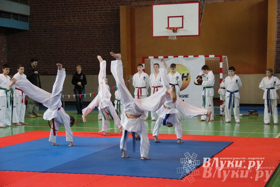 В Великих Луках прошло Первенство по тхэквондо (фото)