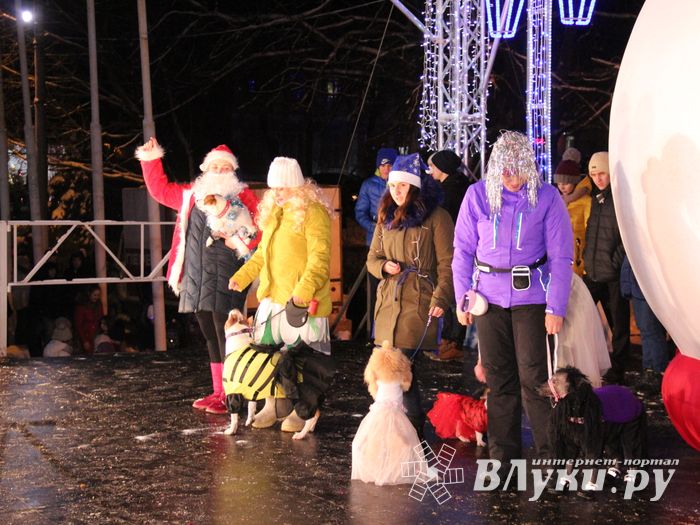 В Великих Луках зажгли Ёлку (ФОТО)