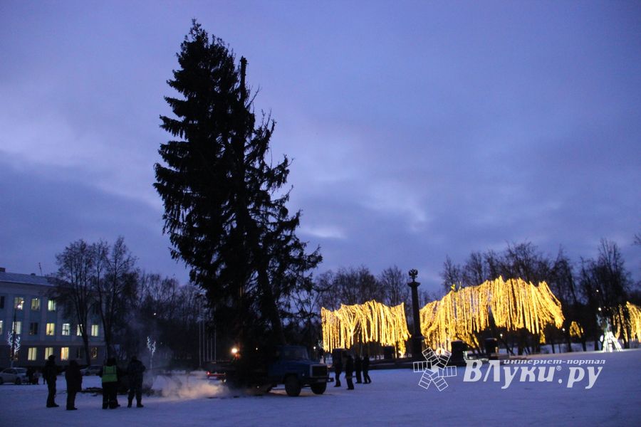 Новогодняя ёлочка приехала наконец в Великие Луки (ФОТО)