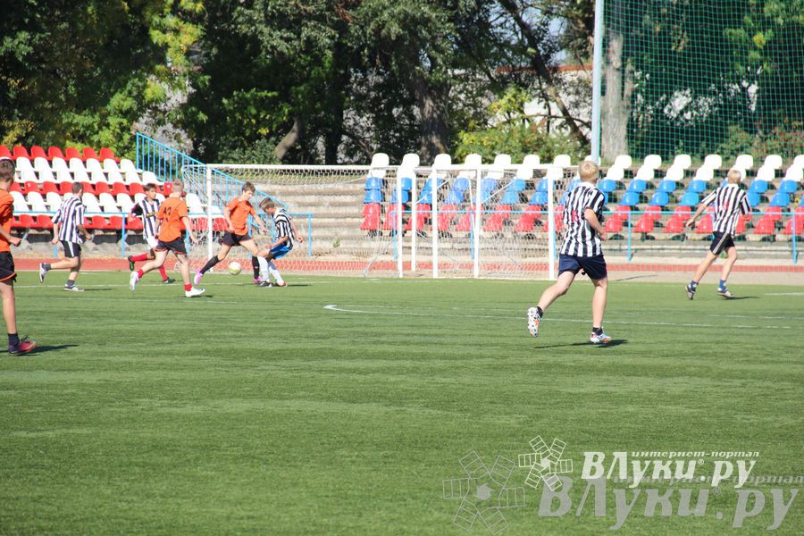 В Великих Луках завершился открытый турнир по футболу памяти М. Ф. Хренова (фото)