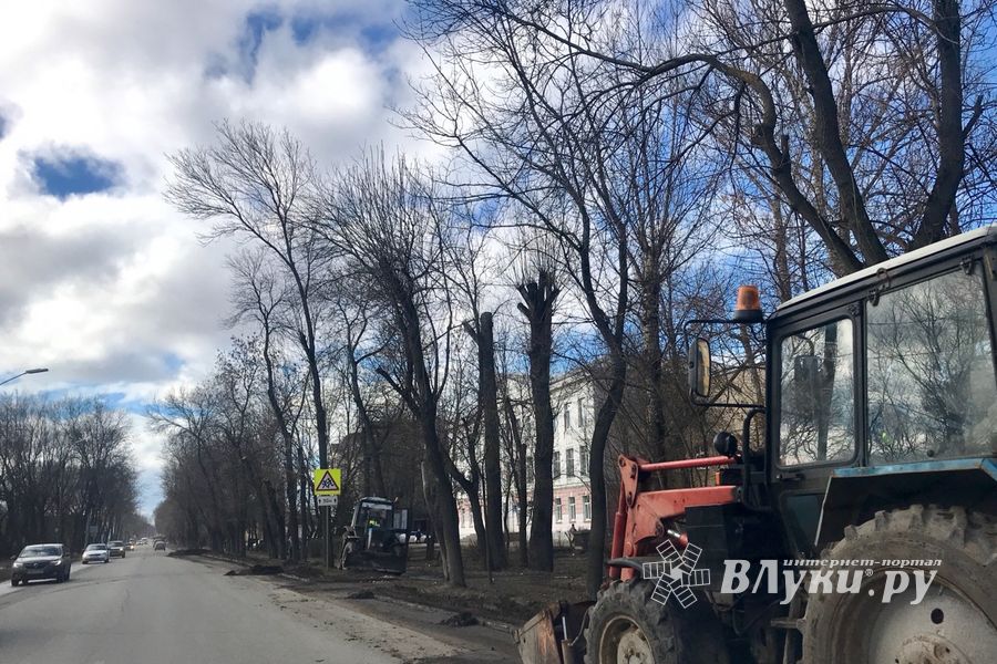 В Великих Луках очищают обочины улиц от снега и грязи (ФОТО)