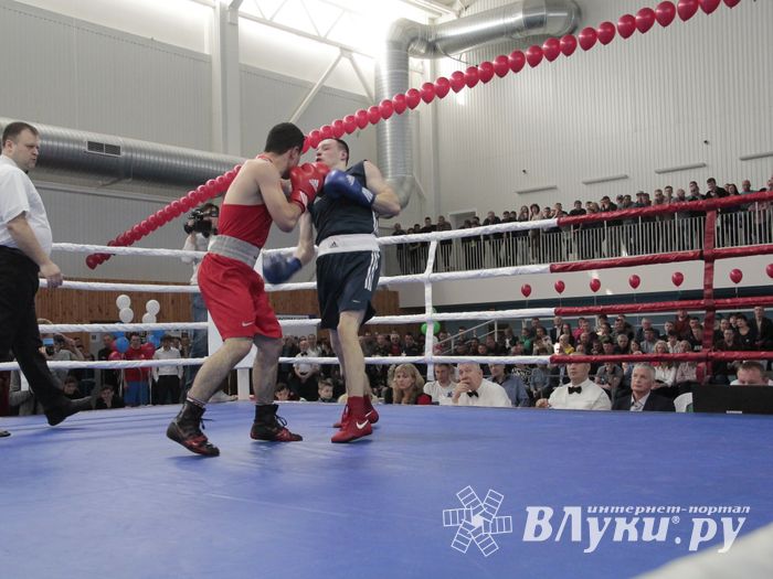 Матчевая встреча по боксу Великие Луки —Псков — Грозный (ФОТО)