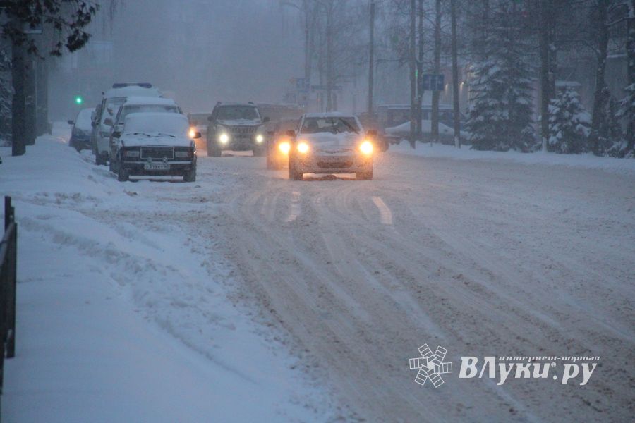 Великие Луки заносит снегом (фото)