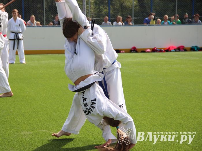 День спорта в День города: сила, мужество и грация (ФОТО)