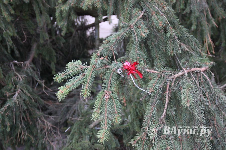 Необычное украшение сняли с главной ёлки Великих Лук
