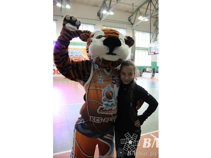 Чемпионат ШБЛ «КЭС-БАСКЕТ» сезона 2013-2014 гг. Псковской области