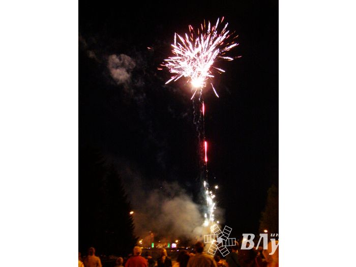 9 мая. Парад ( II часть), шествие, салют