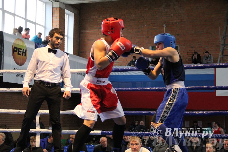 16-й Международный турнир по боксу (фото)