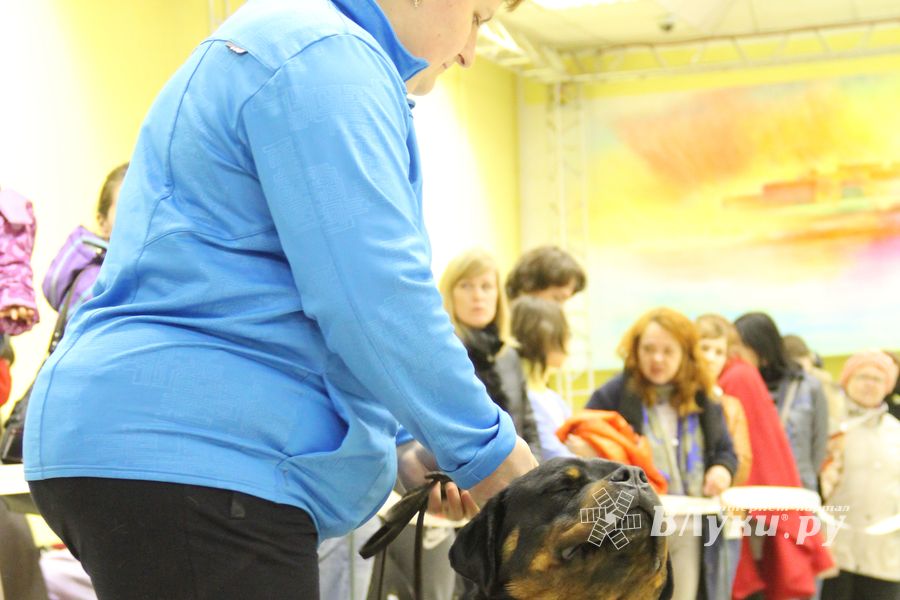 Всероссийская выставка собак «Великие Луки — 2014»