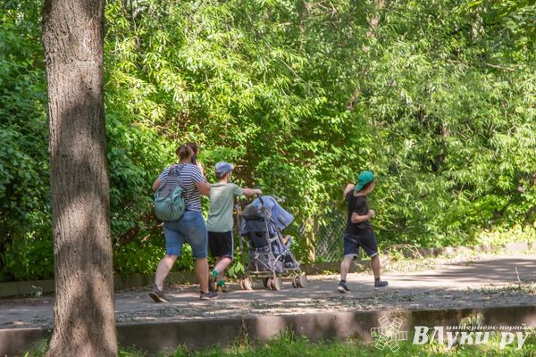 Многодетные семьи Псковской области могут претендовать на получение автомобиля