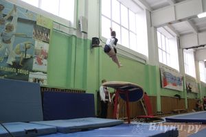 В Великих Луках прошел турнир по спортивной гимнастике (фото)